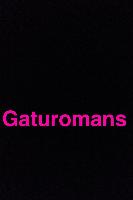 Gaturomans 