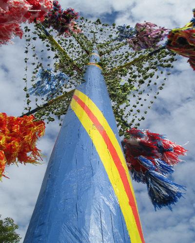 På vandring bland Ålands midsommarstänger