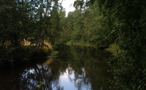 Natur
