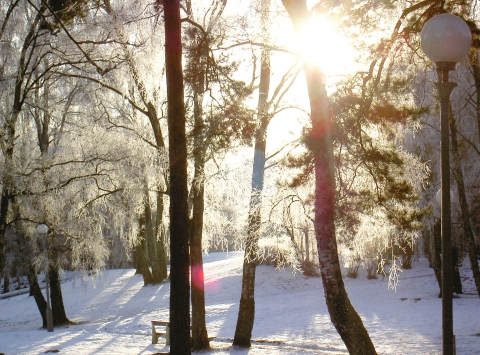 Sunny, Snowy and Icy (foto E.A. -09-10)