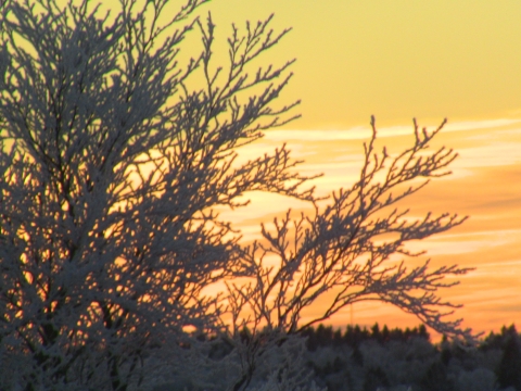 January sunset