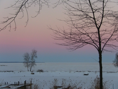 Purple twilight  (26~january 2011) ©2011 emca