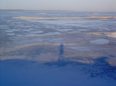 Light Blue Sky in Melting Wet Ice and Shadows of Trees, Bridge and me, E.A. Jan 