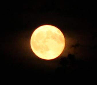 Fullmåne 25 -26 maj 2013, Super moon..vid Vänerhavet, (©2013 Eva mca)