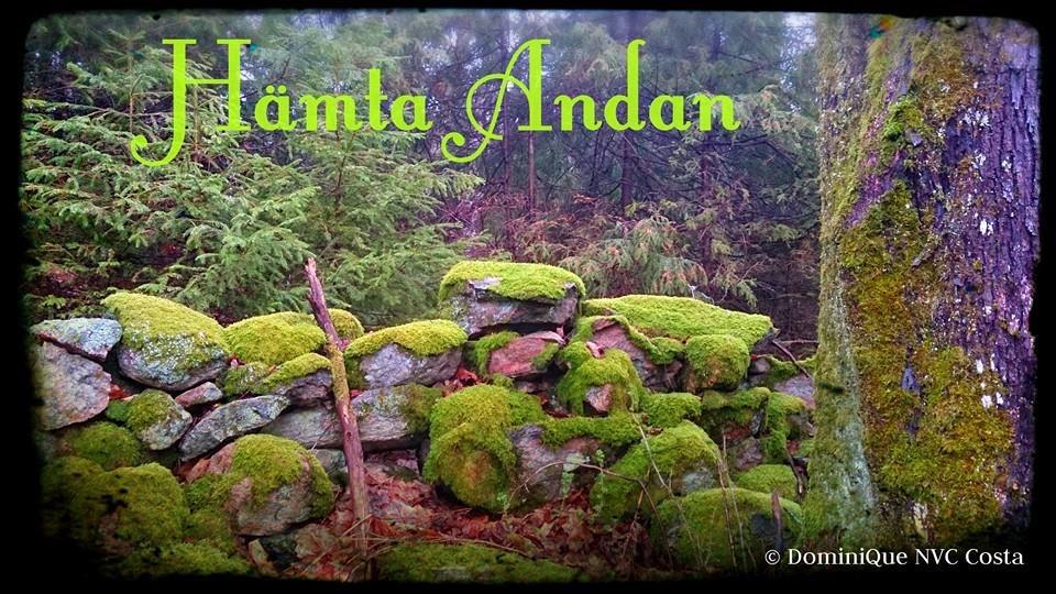 MAGICAL WILD NATURE ~ AND THE WOMAN I AM